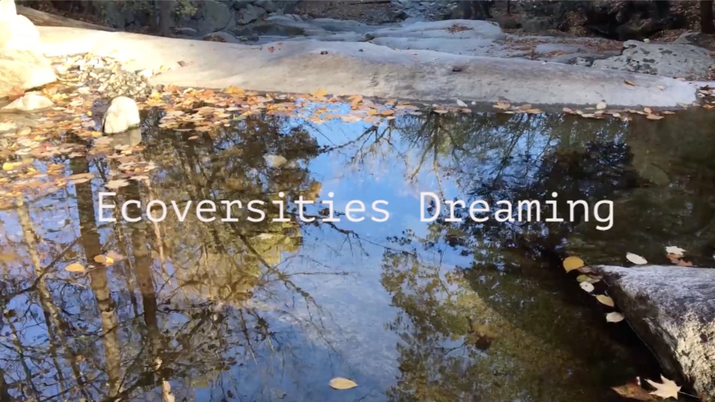 Ecoversities Dreaming