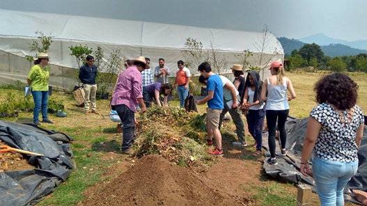 Engaging with Soil and farming at UMA, Mexico